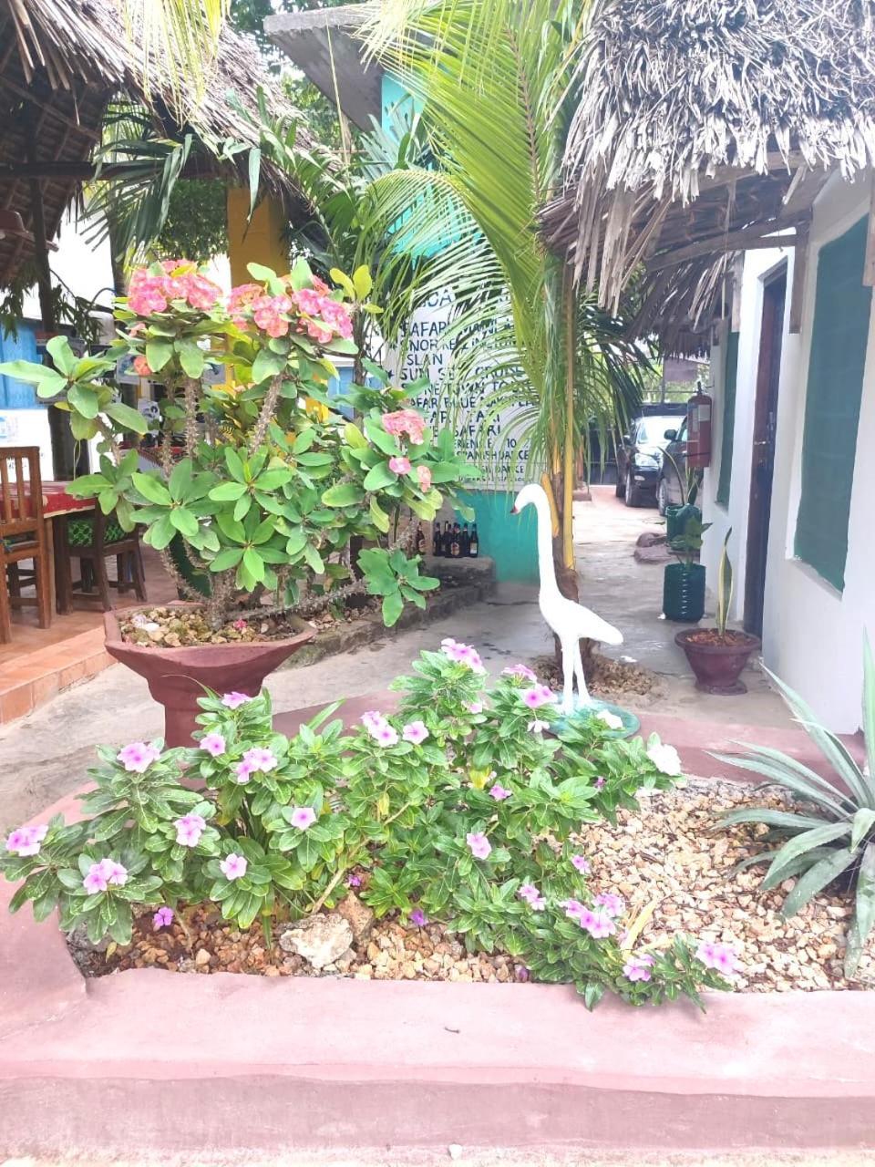 Homeland Swahili Lodge Nungwi Backpacker Apartments Budget Exterior foto